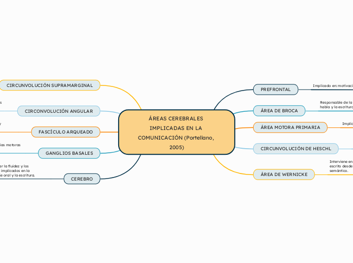 ÁREAS CEREBRALES IMPLICADAS EN LA COMUNICACIÓN (Portellano, 2005)