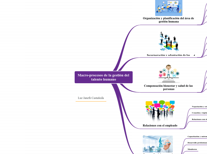 Macro-procesos de la gestión del talento humano