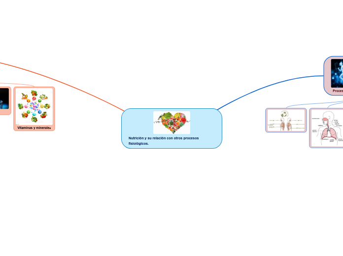 Nutrición y su relación con otros procesos fisiológicos.