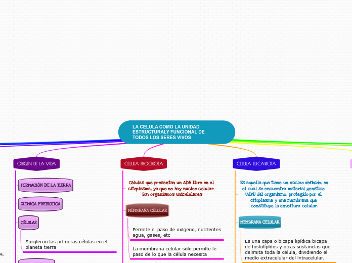 LA CELULA COMO LA UNIDAD ESTRUCTURALY FUNCIONAL DE TODOS LOS SERES VIVOS