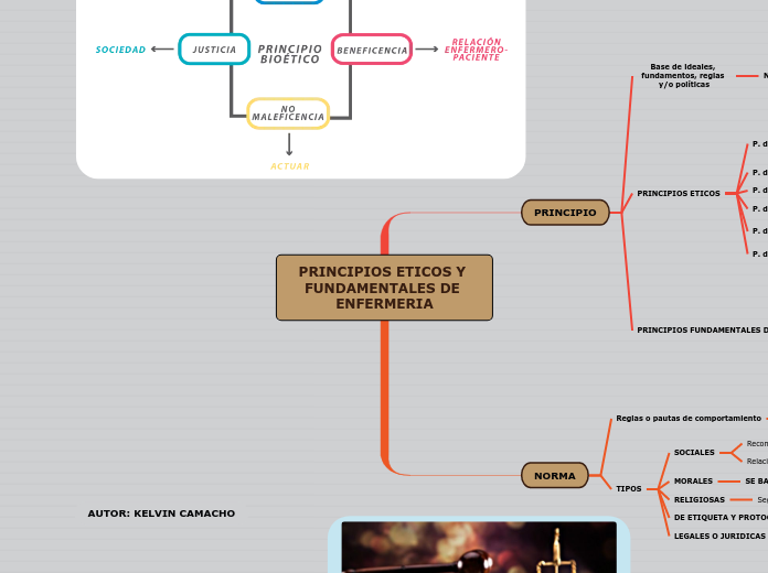 PRINCIPIOS ETICOS Y FUNDAMENTALES DE ENFERMERIA