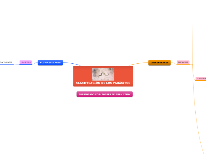 CLASIFICACIÓN DE LOS PARÁSITOS