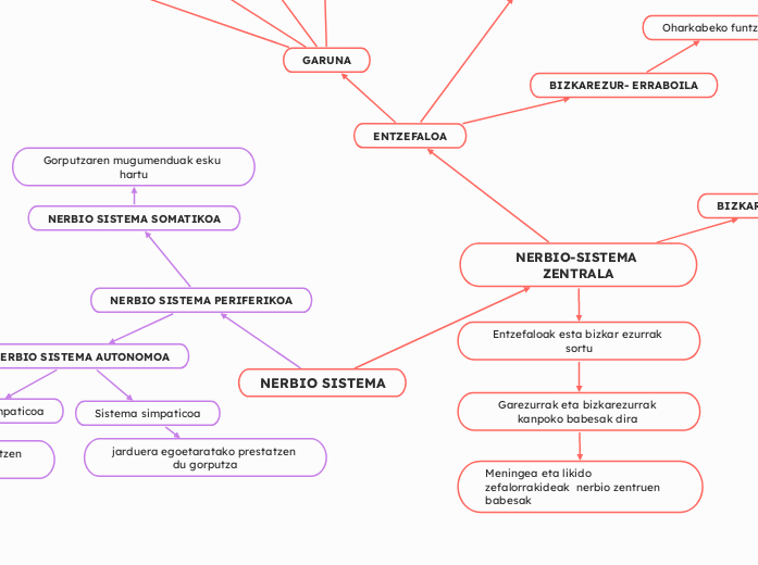 NERBIO SISTEMA