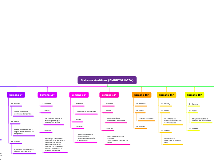 Embriología Ssitema Auditivo.