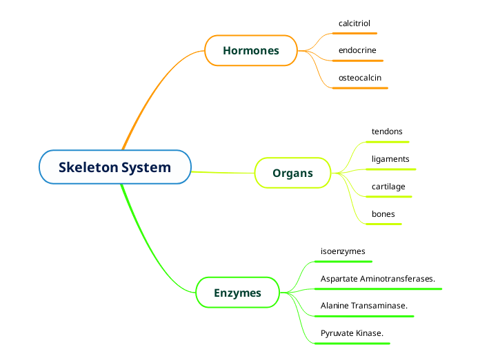 Skeleton System