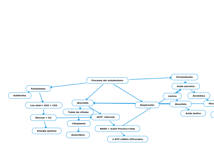 Procesos del metabolismo