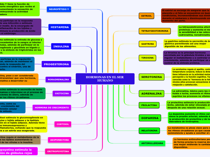 HORMONAS EN EL SER HUMANO