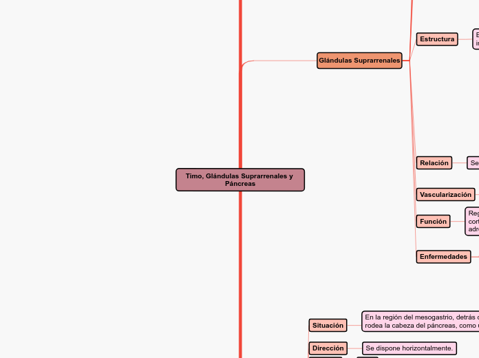 Timo, Glándulas Suprarrenales y Páncreas