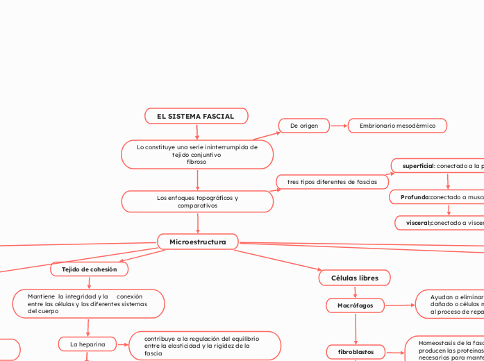 EL SISTEMA FASCIAL 