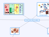 Ji_MacromoleculeConceptMap