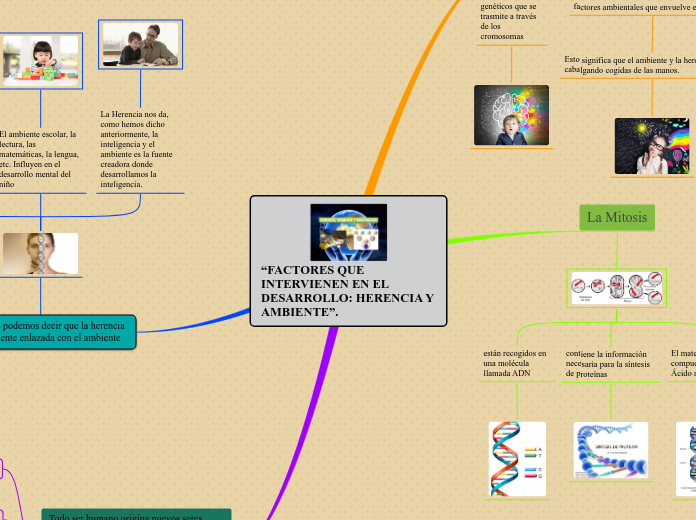 “FACTORES QUE INTERVIENEN EN EL DESARROLLO: HERENCIA Y AMBIENTE”.