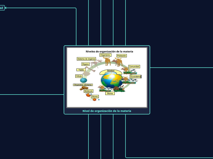 Nivel de organización de la materia