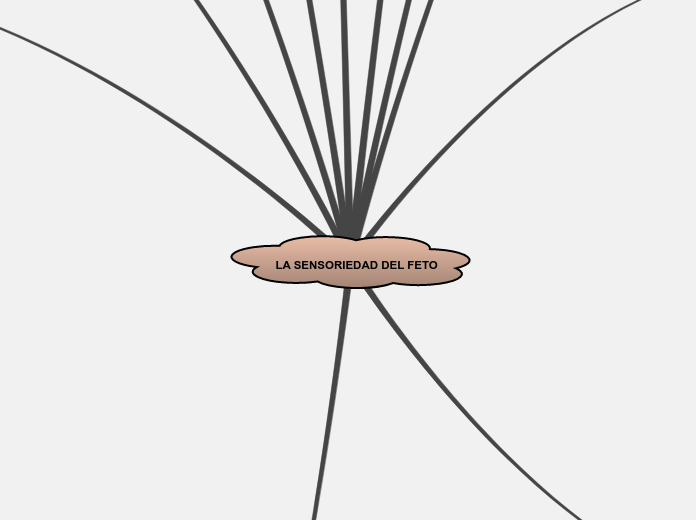 LA SENSORIEDAD DEL FETO
