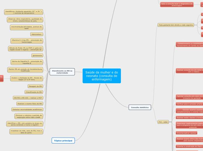 Saúde da mulher e do neonato (consulta de enfermagem)