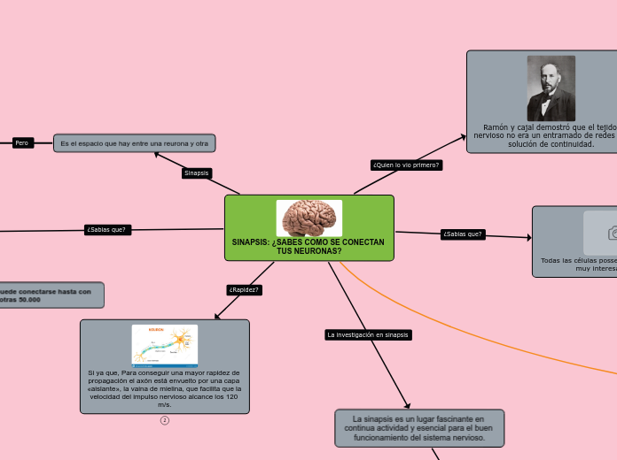 SINAPSIS: ¿SABES COMO SE CONECTAN TUS NEURONAS?