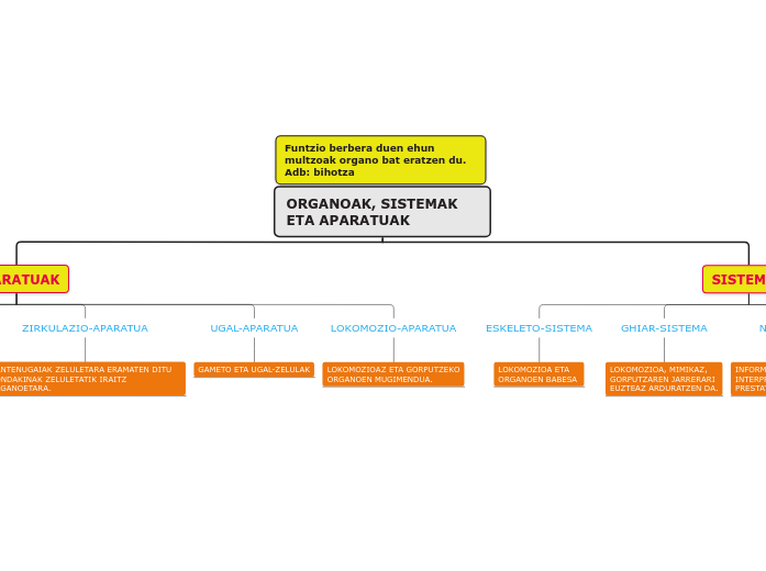 ORGANOAK, SISTEMAK ETA APARATUAK