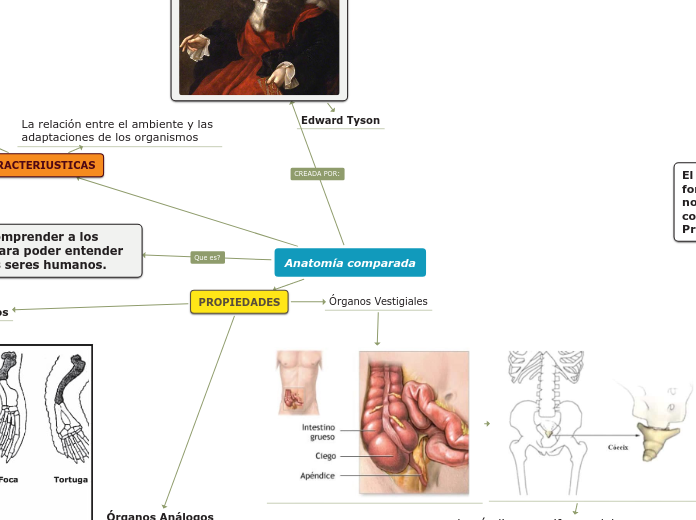 Sample Mind Map