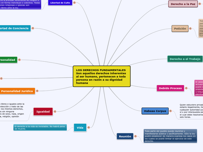 derechos fundamentales