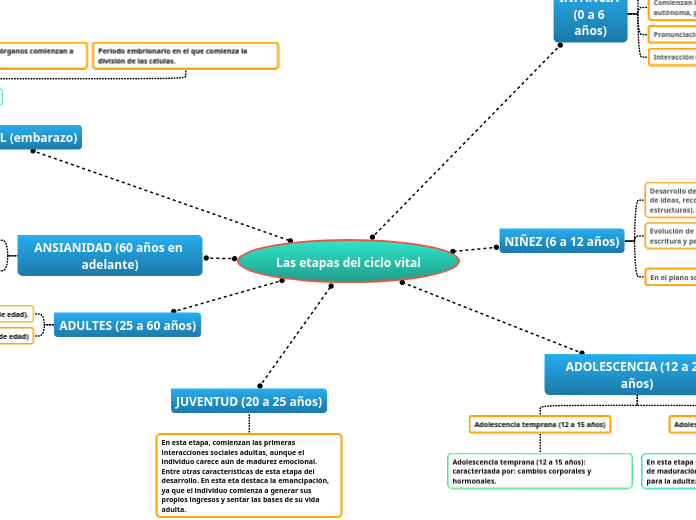 Las etapas del ciclo vital