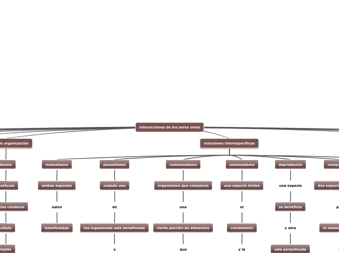 interacciones de los seres vivos