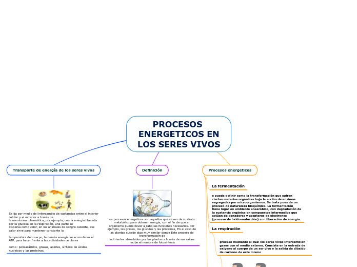 PROCESOS ENERGETICOS EN
LOS SERES VIVOS