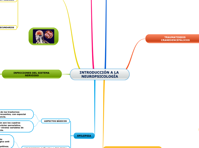 INTRODUCCIÓN A LA NEUROPSICOLOGÍA