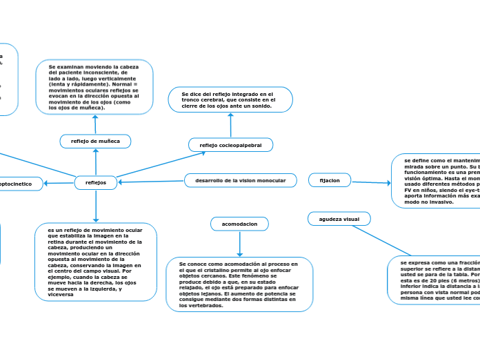 desarrollo de la vision monocular