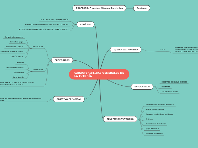 CARACTERISTICAS GENERALES DE        LA TUTORÍA