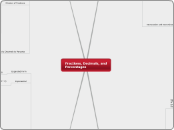 Fractions, Decimals, and Percentages