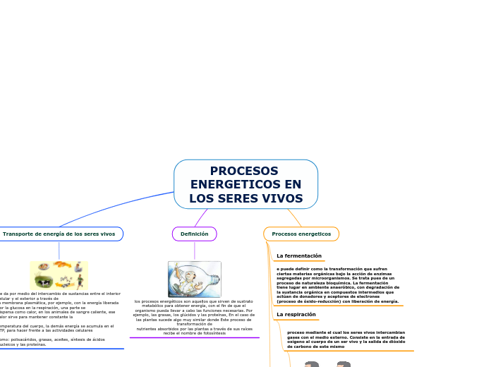 PROCESOS ENERGETICOS EN
LOS SERES VIVOS