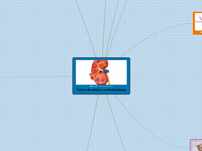 Tumor de wilms o nefroblastoma