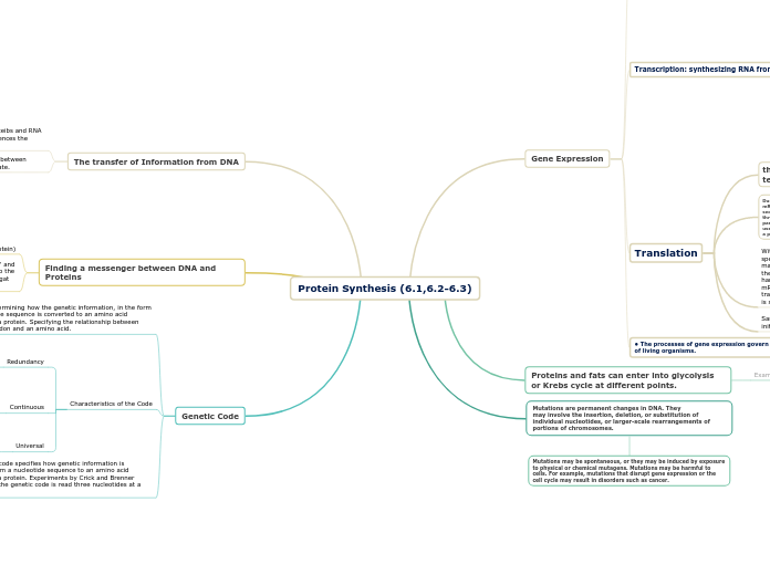 Protein Synthesis (6.1,6.2-6.3)