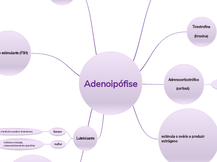 Adenoipófise