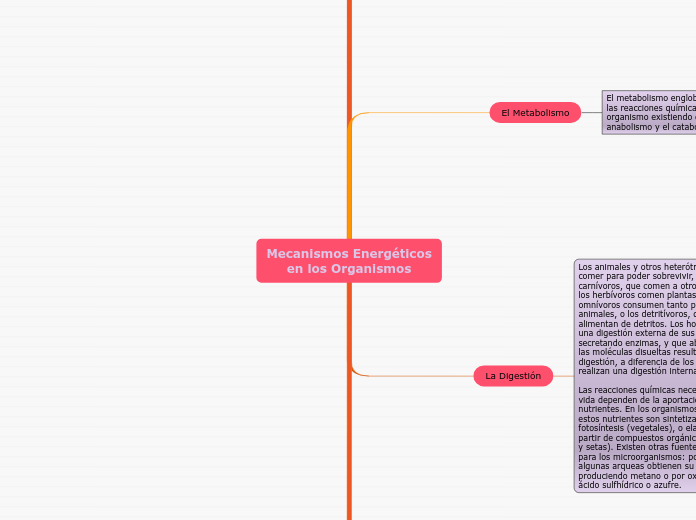 Mecanismos Energéticos
en los Organismos