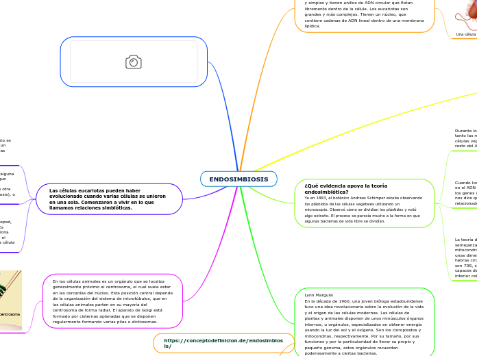 ENDOSIMBIOSIS