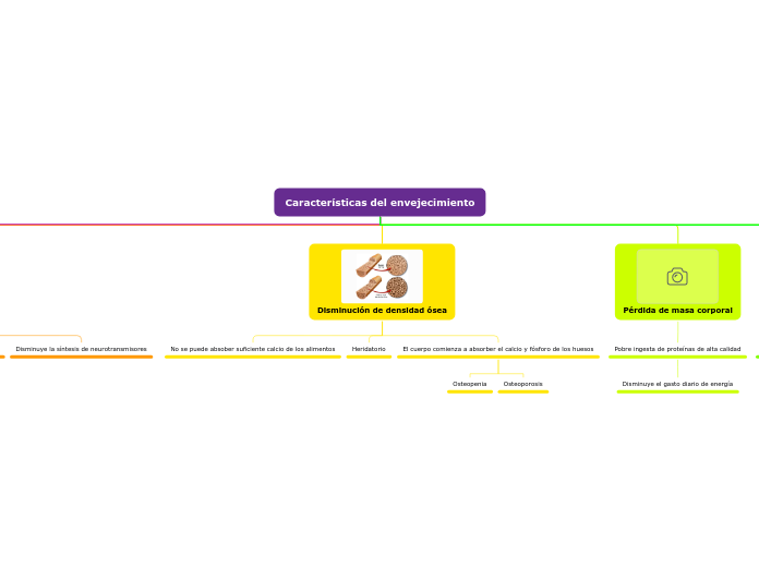 Características del envejecimiento