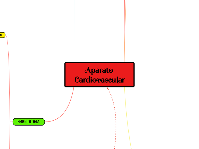 Aparato Cardiovascular jerry