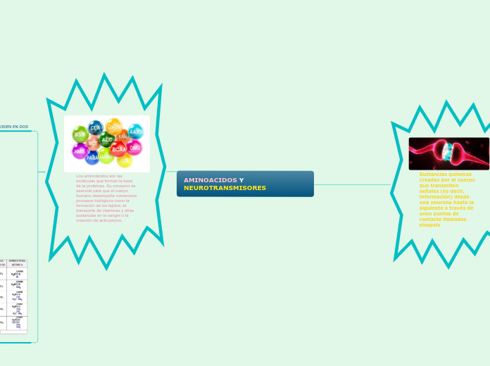 Aminoacidos y neurotransmisores
