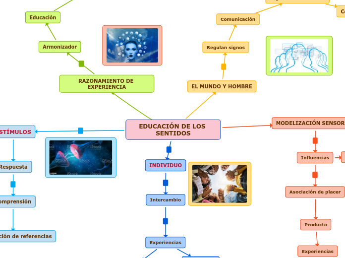 EDUCACIÓN DE LOS SENTIDOS