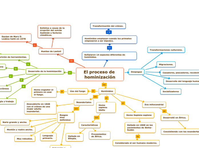 El proceso de hominización