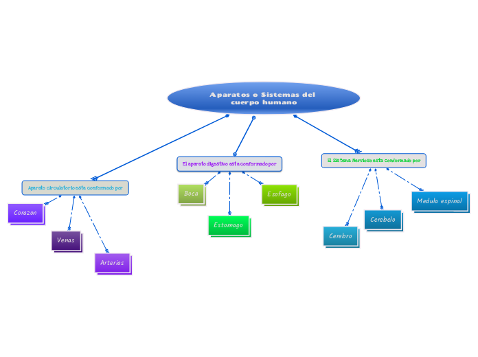 Aparatos o Sistemas del cuerpo humano