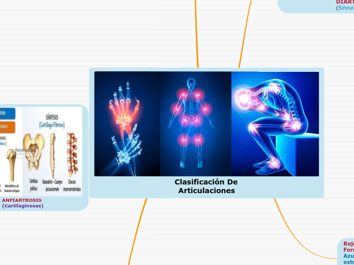 Clasificación De Articulaciones