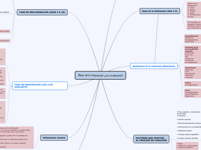 Fases de la inflamación y la cicatrización