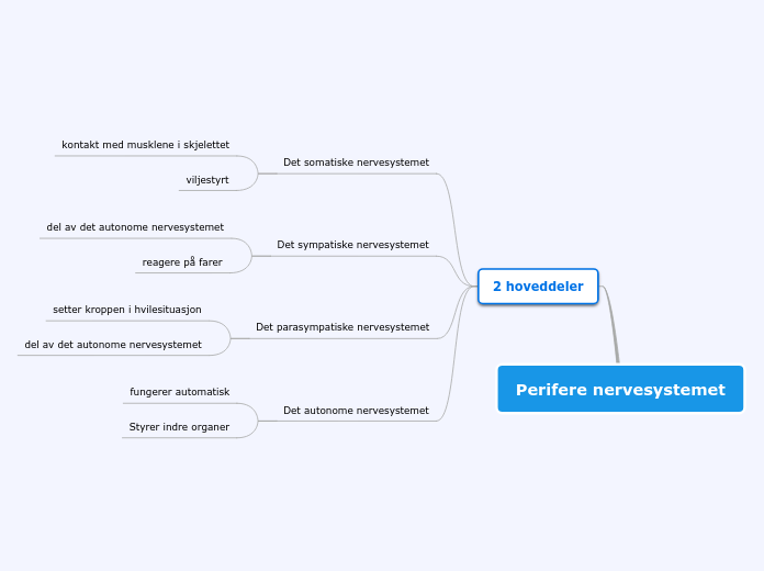 Det perifere nervesystemet