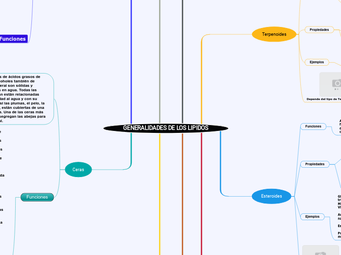 GENERALIDADES DE LOS LIPIDOS