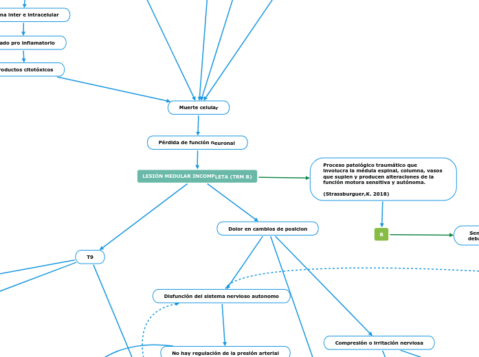 LESIÓN MEDULAR INCOMPLETA (TRM B)