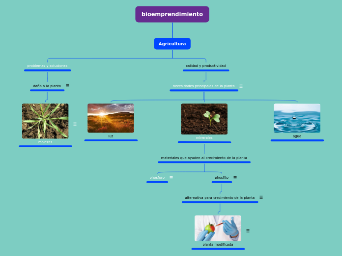 Organigrama arbol