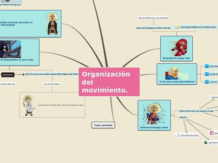 Organización del movimiento.