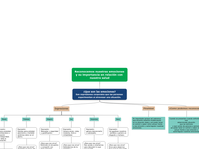 Reconocemos nuestras emociones y su importancia en relación con nuestra salud