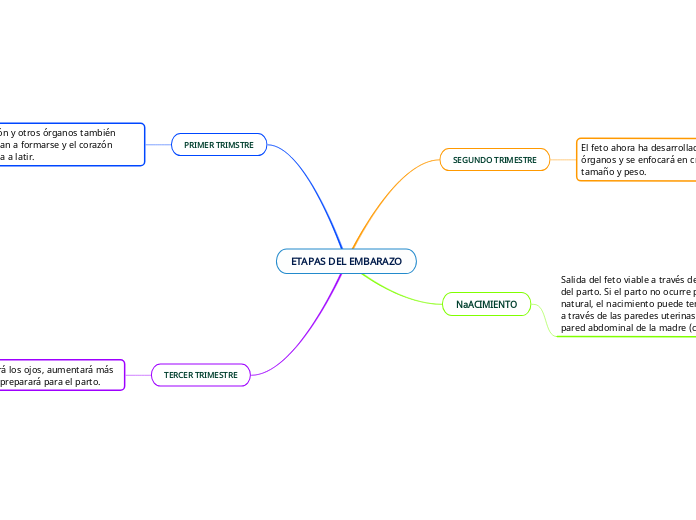 ETAPAS DEL EMBARAZO
